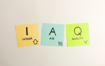 Breathing Easy: A Guide to Improving Home Air Quality