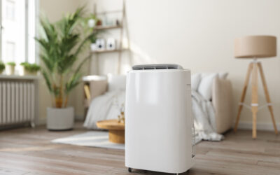 Humidity Control: Your Guide to Better Indoor Air